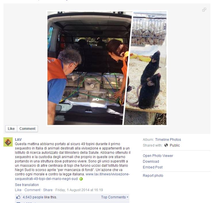 La disinformazione Animalara!!! article-post