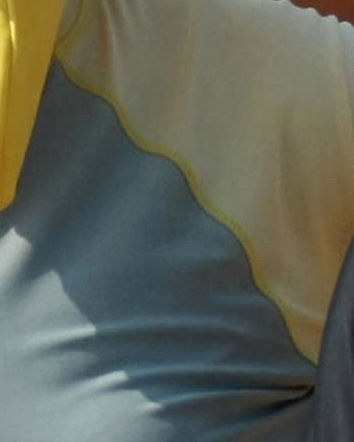 Il face-kini e il giornalismo estivo