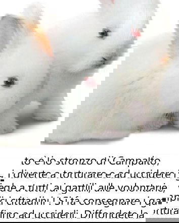 Linciaggio da Social