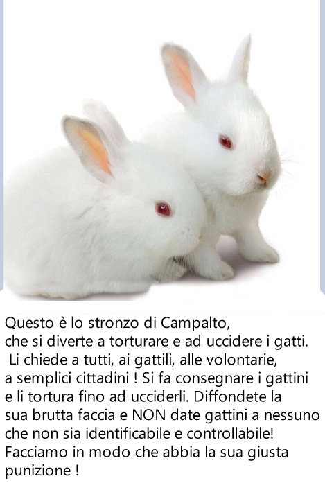 Linciaggio da Social article-post