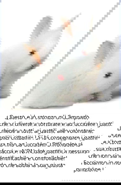 Linciaggio da Social article-post