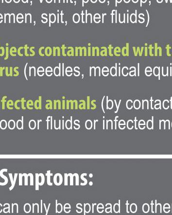 Ebola – aggiornamento del 10/08/2014