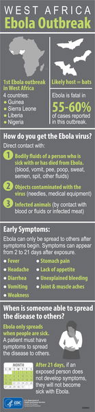 Ebola – aggiornamento del 10/08/2014 article-post
