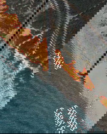 La tenuta presidenziale di Castelporziano…