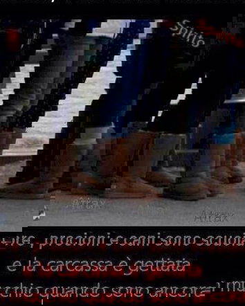 UGG: La moda vale tanta sofferenza?