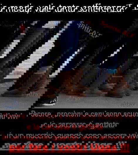 UGG: La moda vale tanta sofferenza? article-post