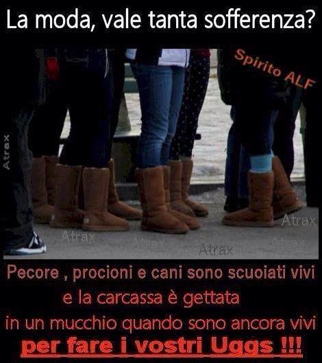 UGG: La moda vale tanta sofferenza?