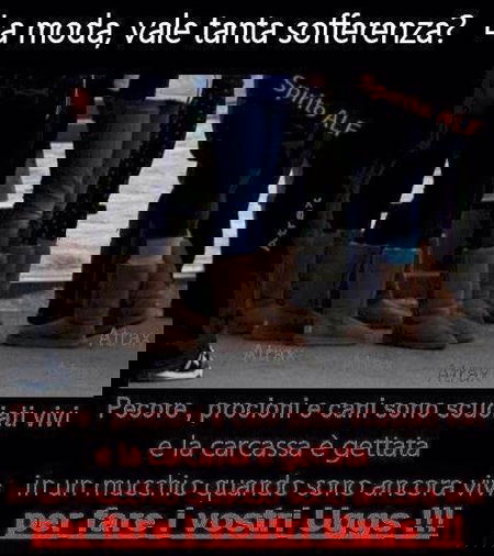 UGG: La moda vale tanta sofferenza? article-post