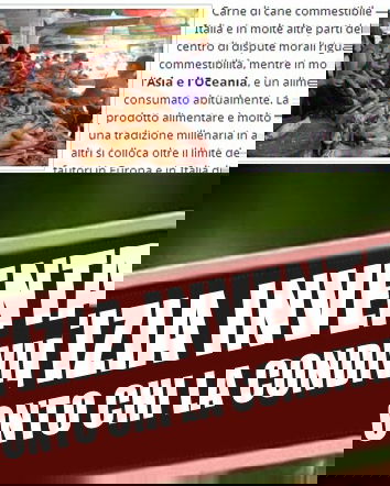 Ancora sulla carne di cane