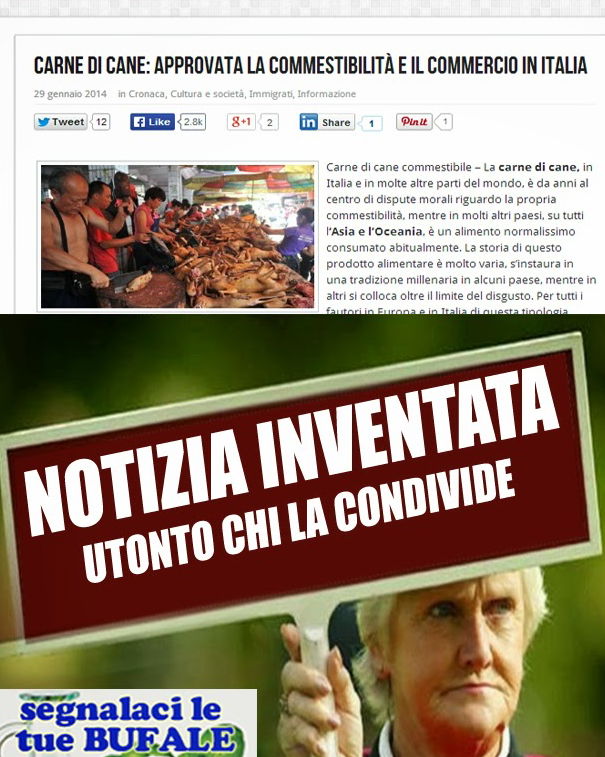 Ancora sulla carne di cane article-post