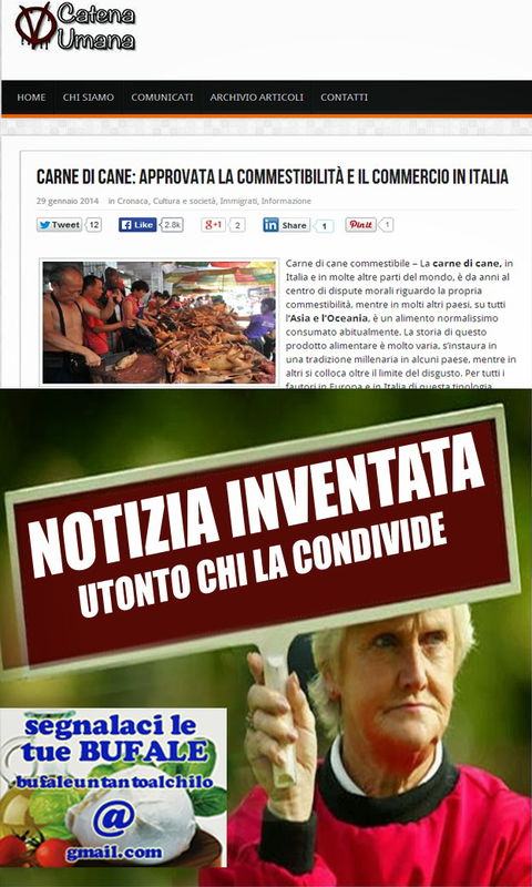 Ancora sulla carne di cane