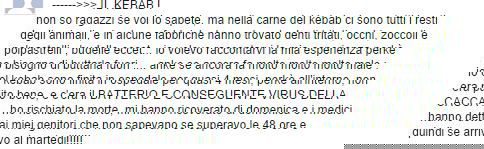 Il Kebab killer ? article-post