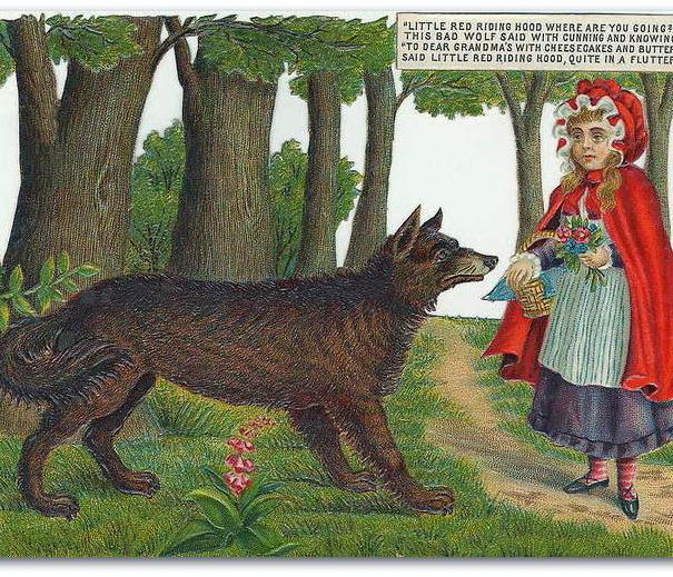 Cappuccetto rosso, il lupo cattivo e l’AIDAA article-post