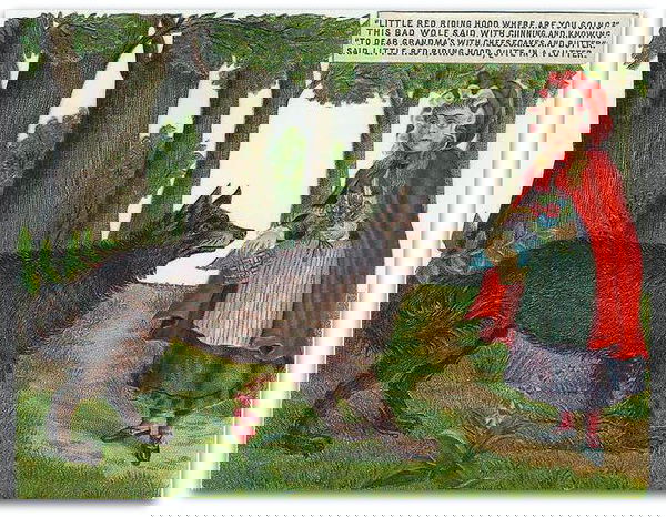 Cappuccetto rosso, il lupo cattivo e l’AIDAA