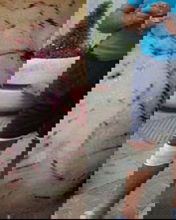 Daniza e l’orso polare