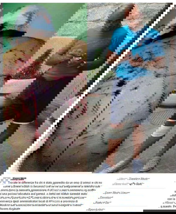 Daniza e l’orso polare