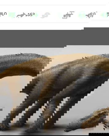 Il più grande dinosauro mai esistito