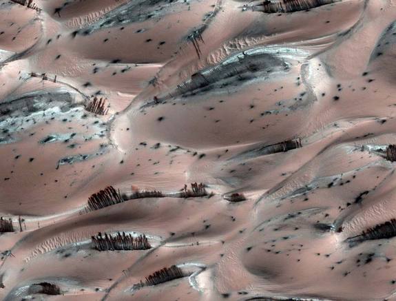 Le foreste di Marte article-post