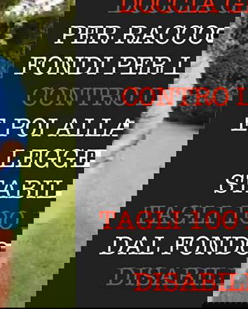 Renzi ha tagliato i fondi per i disabili?