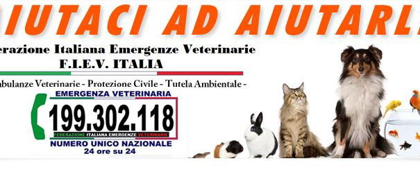 Numero Unico Emergenze Veterinarie article-post