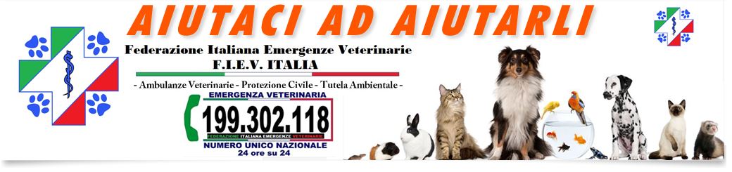 Numero Unico Emergenze Veterinarie article-post