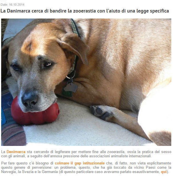La zooerastia e lo pseudo giornalismo animalaro article-post