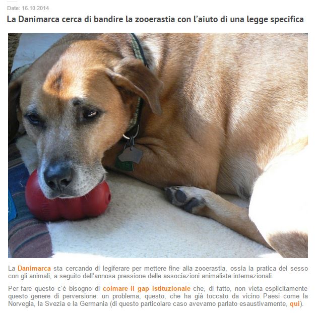 La zooerastia e lo pseudo giornalismo animalaro article-post