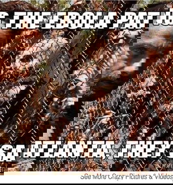 Top ten di BUTAC, 20 ottobre 2014