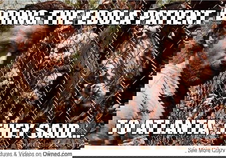 Top ten di BUTAC, 20 ottobre 2014 article-post