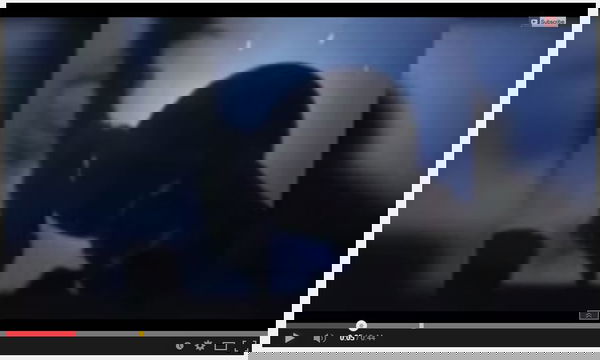 Il calamaro gigante, GreenPeace e lo pseudo giornalismo