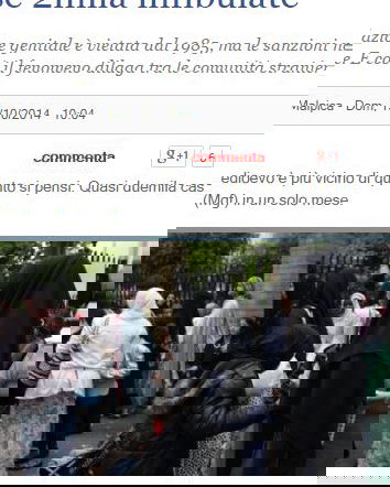 Il califfato, Il Giornale e il Daily Mail