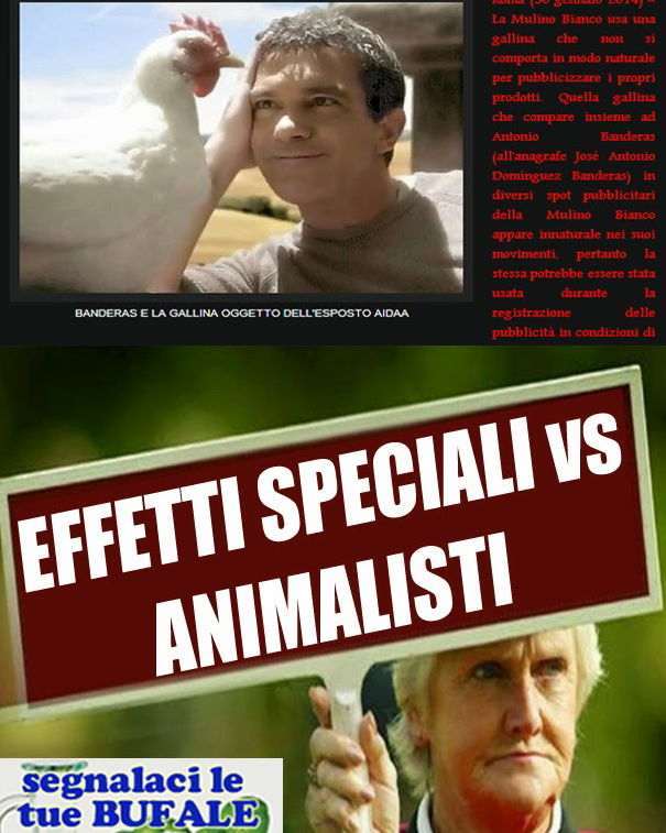 La gallina del Mulino Bianco e l’AIDAA article-post