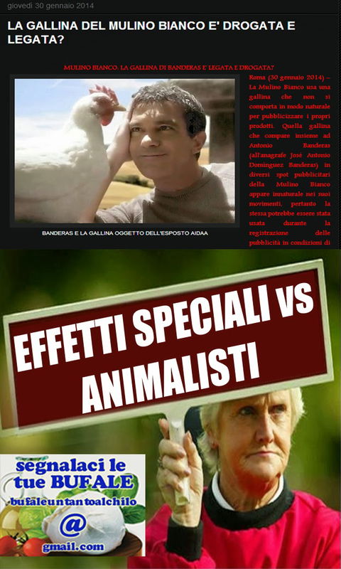 La gallina del Mulino Bianco e l’AIDAA