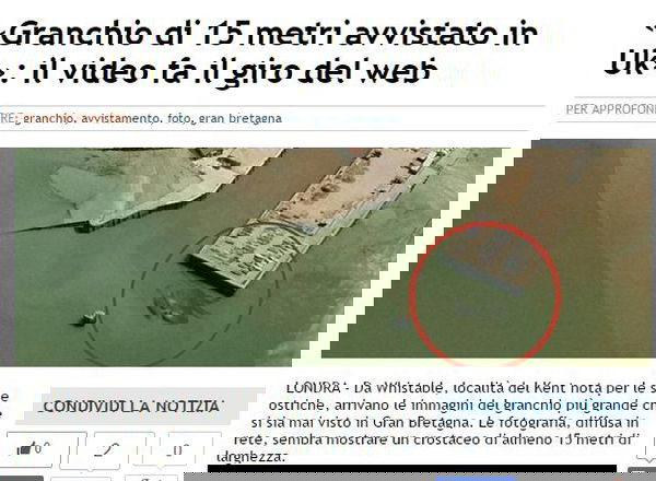 Il granchio di Whitstable