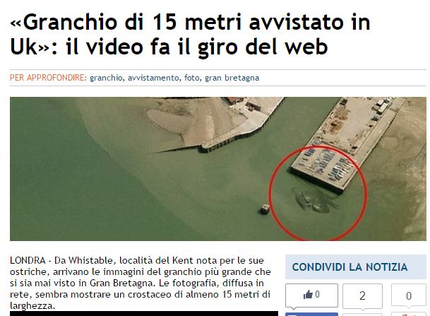 Il granchio di Whitstable article-post
