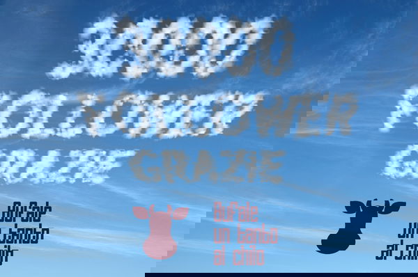 30,000 volte grazie!