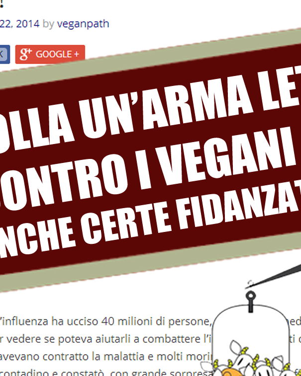 Cipolla tagliata, un’arma letale contro i batteri? article-post