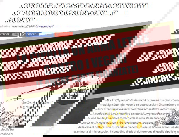 Cipolla tagliata, un’arma letale contro i batteri?