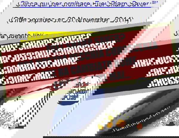 Fuel sharp saver? o Shark?