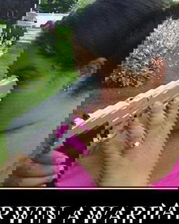 Il virus della stupidità ha infettato il giornalismo mondiale