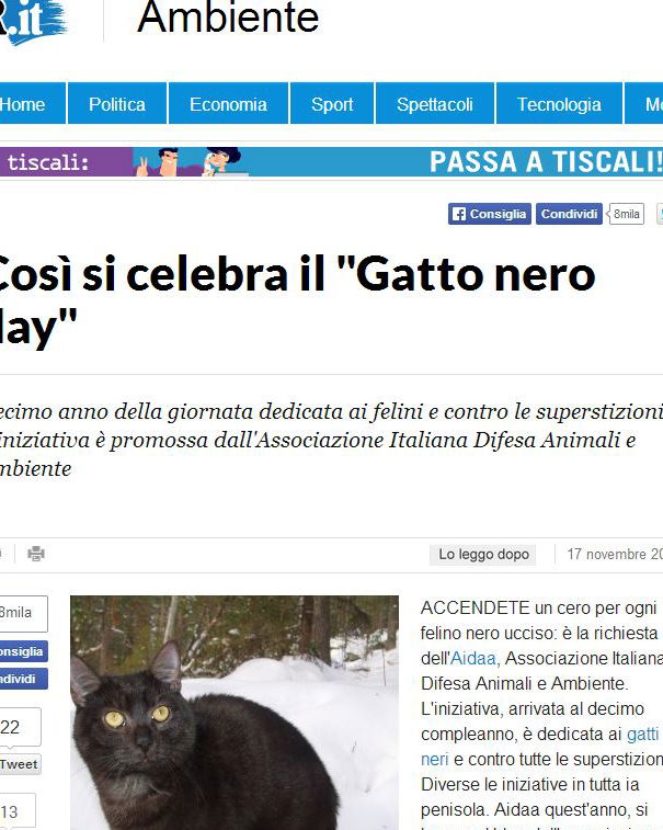 Gatto Nero Day? article-post