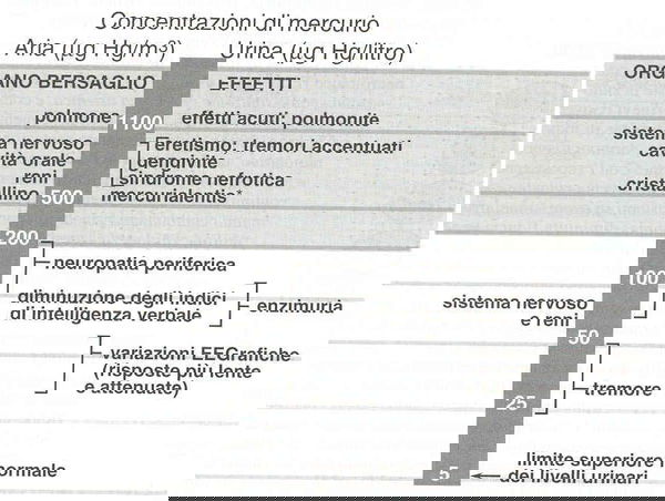 Attualmente Vaccini 4 –