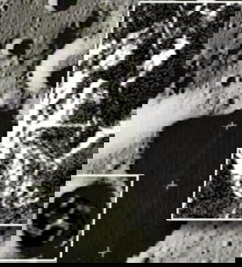 I nazisti, la Luna e il cortocircuito cerebrale