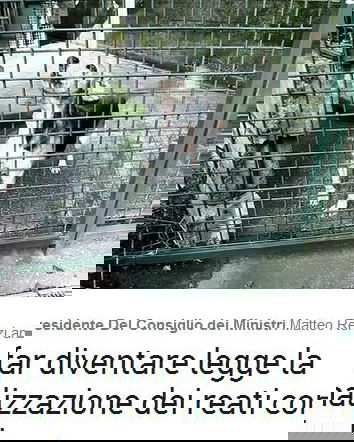 La depenalizzazione dei reati contro gli animali.