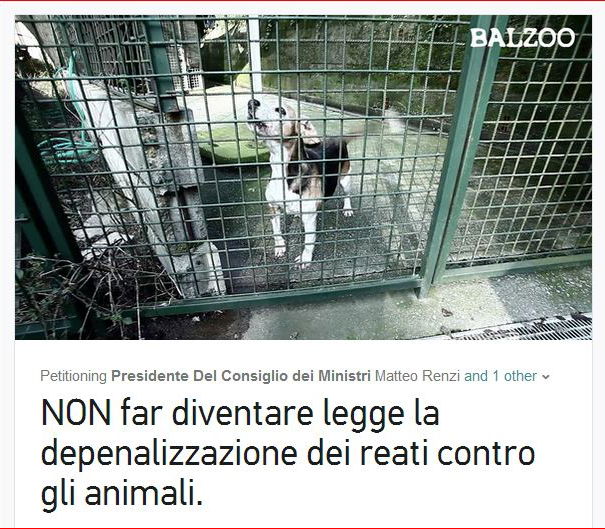 La depenalizzazione dei reati contro gli animali. article-post