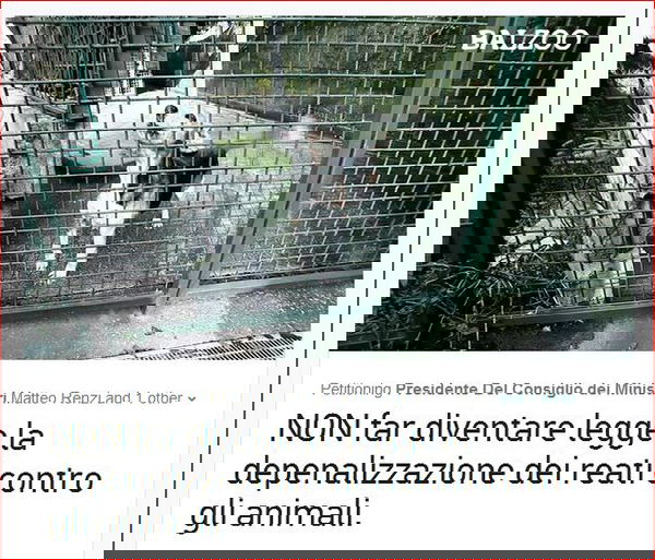 La depenalizzazione dei reati contro gli animali.