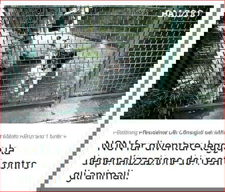 La depenalizzazione dei reati contro gli animali. article-post