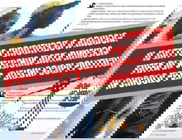 Il gatto crocifisso (a Ragusa?)