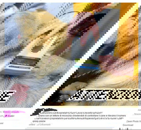 I ladri di cani e il microchip