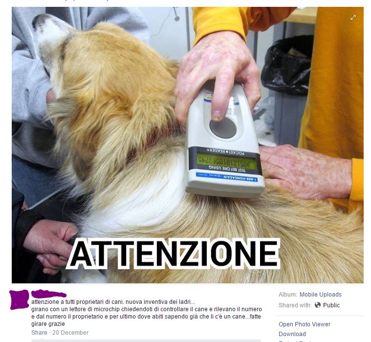 I ladri di cani e il microchip article-post
